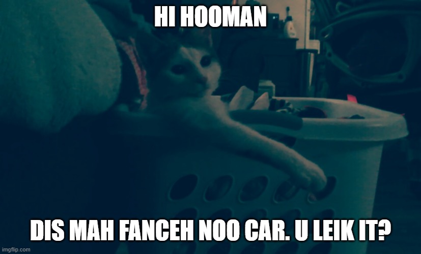 new car | HI HOOMAN; DIS MAH FANCEH NOO CAR. U LEIK IT? | image tagged in cat in a laundry basket | made w/ Imgflip meme maker