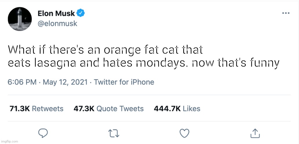 Elon | What if there's an orange fat cat that eats lasagna and hates mondays. now that's funny | image tagged in elon musk blank tweet | made w/ Imgflip meme maker