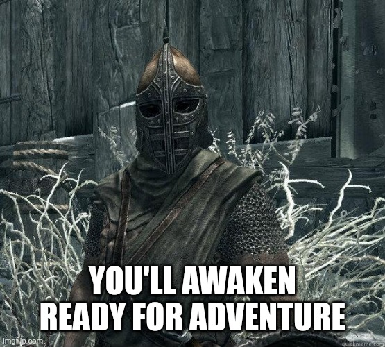 SkyrimGuard | YOU'LL AWAKEN READY FOR ADVENTURE | image tagged in skyrimguard | made w/ Imgflip meme maker