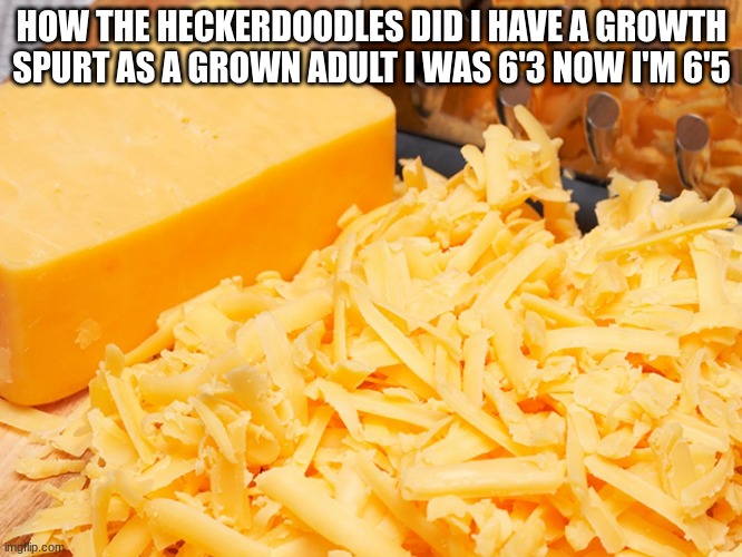 Cheese | HOW THE HECKERDOODLES DID I HAVE A GROWTH SPURT AS A GROWN ADULT I WAS 6'3 NOW I'M 6'5 | image tagged in cheese | made w/ Imgflip meme maker