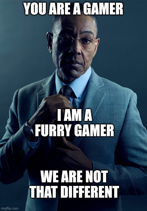 Gus Fring we are not the same | YOU ARE A GAMER I AM A FURRY GAMER WE ARE NOT THAT DIFFERENT | image tagged in gus fring we are not the same | made w/ Imgflip meme maker