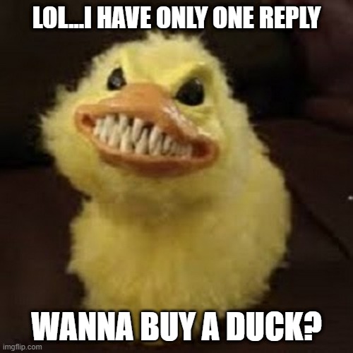 LOL | LOL...I HAVE ONLY ONE REPLY; WANNA BUY A DUCK? | image tagged in lol,lol so funny,not funny,duck,sarcastic | made w/ Imgflip meme maker