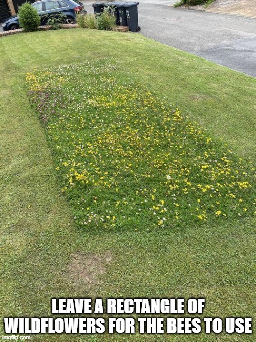 Leave a rectangle of wildflowers for the bees to use | LEAVE A RECTANGLE OF WILDFLOWERS FOR THE BEES TO USE | image tagged in bees,save the earth | made w/ Imgflip meme maker