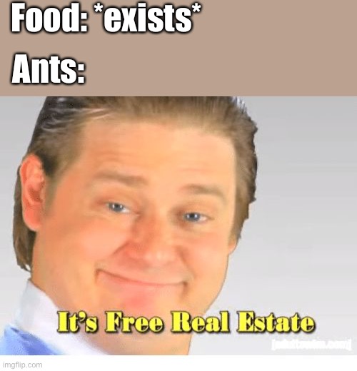 Damn ants | Food: *exists*; Ants: | image tagged in it's free real estate | made w/ Imgflip meme maker
