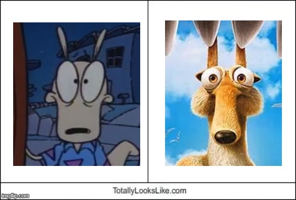 Scrat's Modern Life | image tagged in totally looks like,rocko's modern life,ice age,rocko,scrat | made w/ Imgflip meme maker