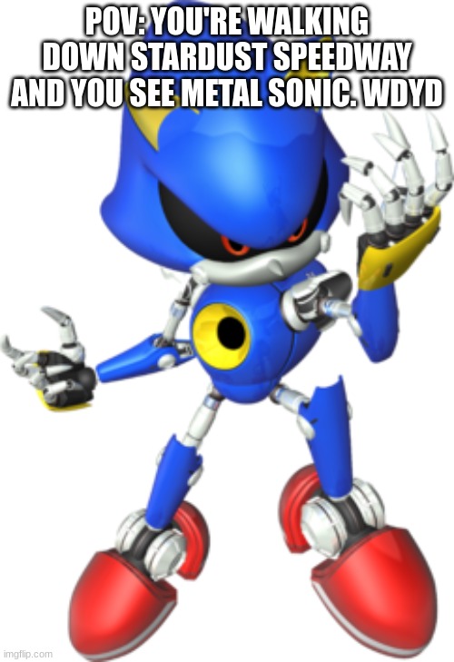 Sonic RP! Rules: OC used must be a sonic OC. No ERP, No being OP | POV: YOU'RE WALKING DOWN STARDUST SPEEDWAY AND YOU SEE METAL SONIC. WDYD | image tagged in metal sonic,roleplaying,sonic the hedgehog | made w/ Imgflip meme maker