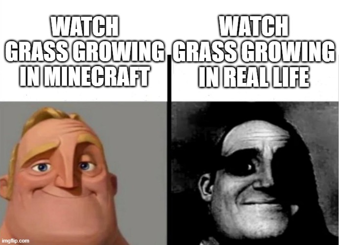 mr incredible | WATCH GRASS GROWING IN REAL LIFE; WATCH GRASS GROWING IN MINECRAFT | image tagged in teacher's copy | made w/ Imgflip meme maker