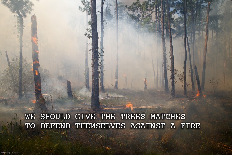 This is about guns in schools | WE SHOULD GIVE THE TREES MATCHES TO DEFEND THEMSELVES AGAINST A FIRE | image tagged in forest fire | made w/ Imgflip meme maker
