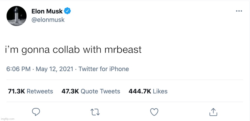 HOLY SHIT FREE MONEY |  i’m gonna collab with mrbeast; Holy shit free money | image tagged in elon musk blank tweet,mr beast,twitter,cancel culture | made w/ Imgflip meme maker