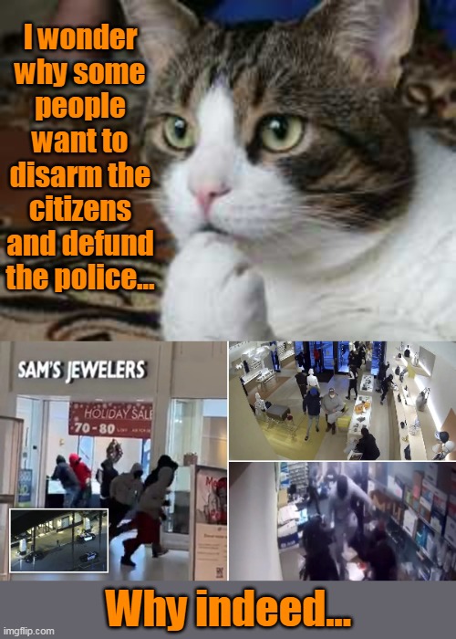 Because free stuff! | I wonder why some people want to disarm the citizens and defund the police... Why indeed... | image tagged in ponder cat,looters,defund police,disarming citizens,democrats,left | made w/ Imgflip meme maker