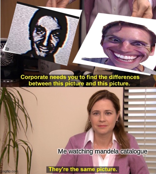 Hold on... | Me watching mandela catalogue | image tagged in memes,they're the same picture | made w/ Imgflip meme maker