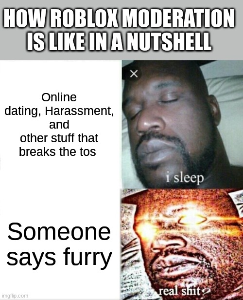 What its like being a roblox player: | HOW ROBLOX MODERATION IS LIKE IN A NUTSHELL; Online dating, Harassment, and other stuff that breaks the tos; Someone says furry | image tagged in memes,sleeping shaq | made w/ Imgflip meme maker