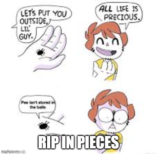 OH | RIP IN PIECES | image tagged in oh | made w/ Imgflip meme maker