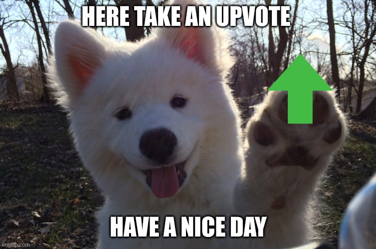 Have a nice day |  HERE TAKE AN UPVOTE; HAVE A NICE DAY | image tagged in dog memes | made w/ Imgflip meme maker