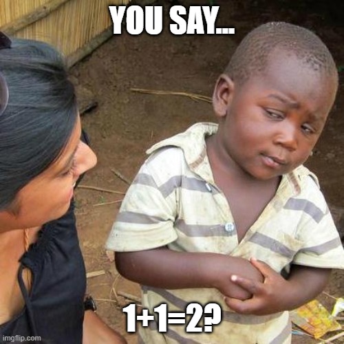 Brains | YOU SAY... 1+1=2? | image tagged in memes,third world skeptical kid | made w/ Imgflip meme maker