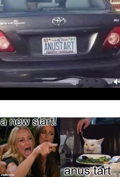Anus Tart | a new start! anus tart | image tagged in memes,woman yelling at cat | made w/ Imgflip meme maker