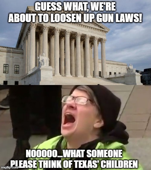 The Circle | GUESS WHAT, WE'RE ABOUT TO LOOSEN UP GUN LAWS! NOOOOO...WHAT SOMEONE PLEASE THINK OF TEXAS' CHILDREN | image tagged in supreme court,screaming liberal | made w/ Imgflip meme maker