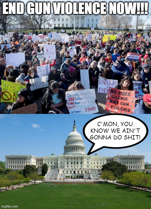 Truth Hurts | END GUN VIOLENCE NOW!!! C'MON, YOU KNOW WE AIN'T GONNA DO SHIT! | image tagged in anti-gun protestors,capitol hill | made w/ Imgflip meme maker