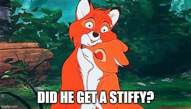 The Fox's Fox | DID HE GET A STIFFY? | image tagged in disney | made w/ Imgflip meme maker