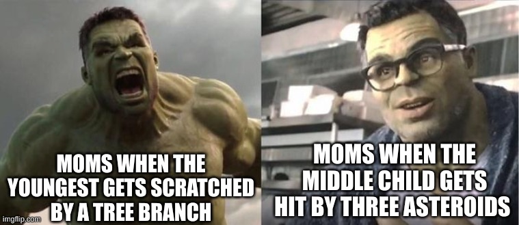 and don't get me started on how to oldest is treated | MOMS WHEN THE YOUNGEST GETS SCRATCHED BY A TREE BRANCH; MOMS WHEN THE MIDDLE CHILD GETS HIT BY THREE ASTEROIDS | image tagged in angry hulk vs civil hulk | made w/ Imgflip meme maker