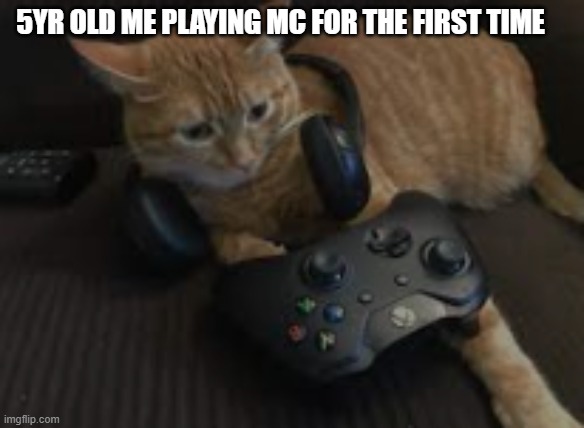 E | 5YR OLD ME PLAYING MC FOR THE FIRST TIME | image tagged in gaming cat | made w/ Imgflip meme maker