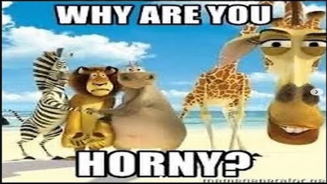 why are you horny | image tagged in why are you horny | made w/ Imgflip meme maker