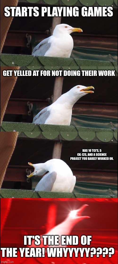 Inhaling seagul student | STARTS PLAYING GAMES; GET YELLED AT FOR NOT DOING THEIR WORK; HAS 10 TCI'S, 5 CK-12S, AND A SCIENCE PROJECT YOU BARELY WORKED ON. IT'S THE END OF THE YEAR! WHYYYYY???? | image tagged in memes,inhaling seagull | made w/ Imgflip meme maker