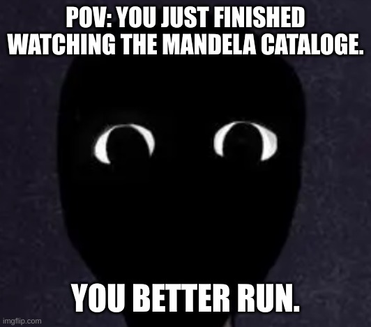Mandela Catalogue Face | POV: YOU JUST FINISHED WATCHING THE MANDELA CATALOGE. YOU BETTER RUN. | image tagged in mandela catalogue face | made w/ Imgflip meme maker