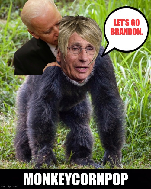 MonkeyCornPop | LET’S GO
BRANDON. MONKEYCORNPOP | image tagged in memes,anthony fauci,monkeypox,gay jokes,creepy joe biden,lets go brandon | made w/ Imgflip meme maker