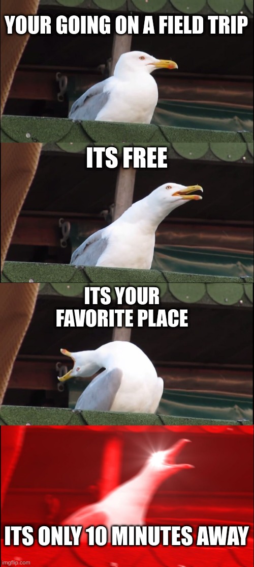 birb | YOUR GOING ON A FIELD TRIP; ITS FREE; ITS YOUR FAVORITE PLACE; ITS ONLY 10 MINUTES AWAY | image tagged in memes,inhaling seagull,birb | made w/ Imgflip meme maker