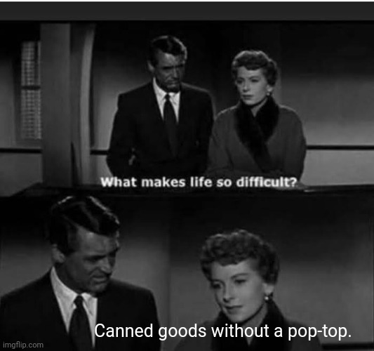 What Makes Life So Difficult? | Canned goods without a pop-top. | image tagged in what makes life difficult,memes | made w/ Imgflip meme maker