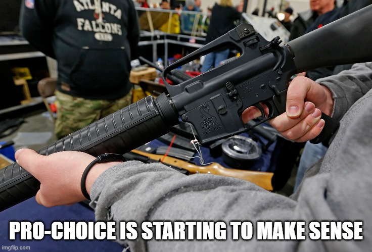 Pro-choice is starting to make sense | PRO-CHOICE IS STARTING TO MAKE SENSE | image tagged in gunrights,the constitution | made w/ Imgflip meme maker