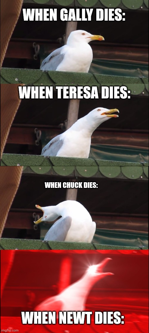 Maze Runner Reations funny | WHEN GALLY DIES:; WHEN TERESA DIES:; WHEN CHUCK DIES:; WHEN NEWT DIES: | image tagged in inhaling seagull,maze runner,relatable,funny memes | made w/ Imgflip meme maker