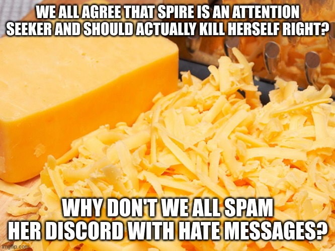 Cheese | WE ALL AGREE THAT SPIRE IS AN ATTENTION SEEKER AND SHOULD ACTUALLY KILL HERSELF RIGHT? WHY DON'T WE ALL SPAM HER DISCORD WITH HATE MESSAGES? | image tagged in cheese | made w/ Imgflip meme maker