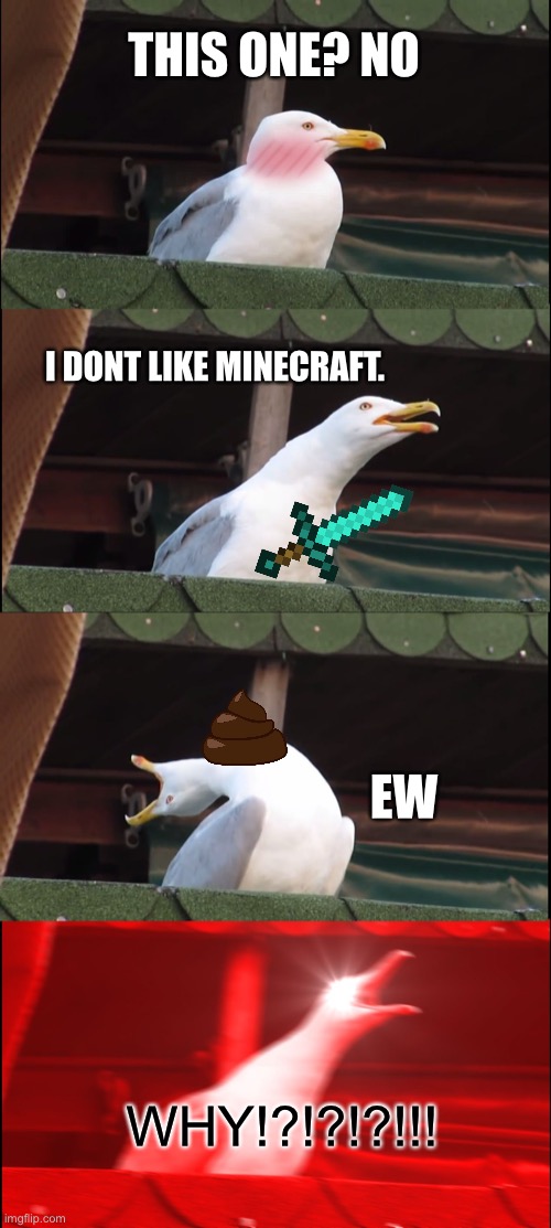 seagull trying out images. | THIS ONE? NO; I DONT LIKE MINECRAFT. EW; WHY!?!?!?!!! | image tagged in memes,inhaling seagull,images | made w/ Imgflip meme maker