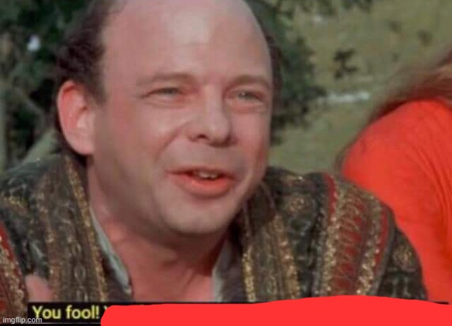 You fool! You fell victim to one of the classic blunders! | image tagged in you fool you fell victim to one of the classic blunders | made w/ Imgflip meme maker