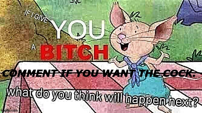 If I Give You A Bitch | COMMENT IF YOU WANT THE COCK. | image tagged in if i give you a bitch | made w/ Imgflip meme maker