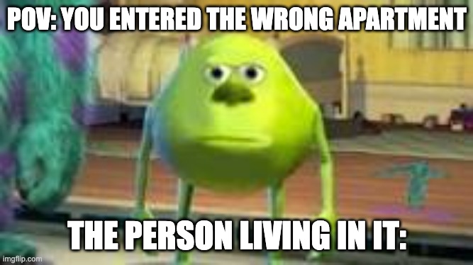 Mikey boi | POV: YOU ENTERED THE WRONG APARTMENT; THE PERSON LIVING IN IT: | image tagged in mike w | made w/ Imgflip meme maker