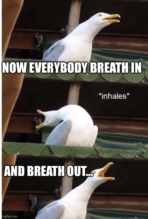 Inhaling seagull | NOW EVERYBODY BREATH IN; AND BREATH OUT… | image tagged in inhaling seagull | made w/ Imgflip meme maker