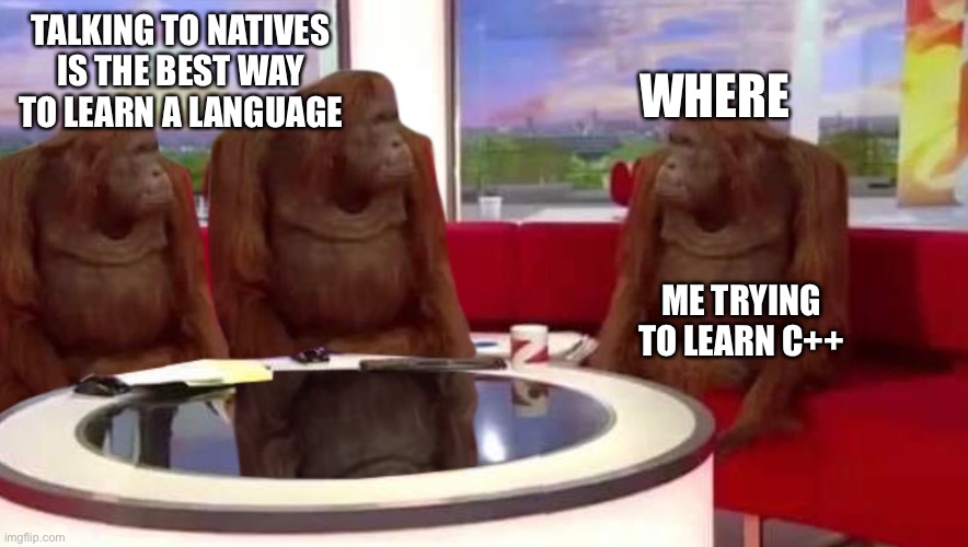 Where | TALKING TO NATIVES IS THE BEST WAY TO LEARN A LANGUAGE; WHERE; ME TRYING TO LEARN C++ | image tagged in where monkey,programming | made w/ Imgflip meme maker