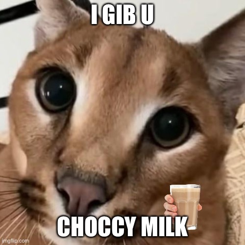 floppa gibs u choccy melk | I GIB U; CHOCCY MILK | image tagged in floppa,have some choccy milk,caracal,floppy friend | made w/ Imgflip meme maker