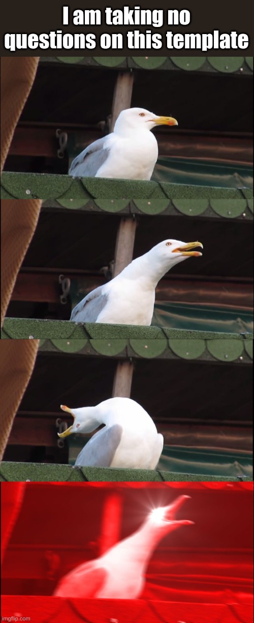 Inhaling Seagull Meme | I am taking no questions on this template | image tagged in memes,inhaling seagull | made w/ Imgflip meme maker