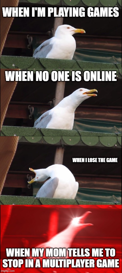 The worse things that can happen to gamers | WHEN I'M PLAYING GAMES; WHEN NO ONE IS ONLINE; WHEN I LOSE THE GAME; WHEN MY MOM TELLS ME TO STOP IN A MULTIPLAYER GAME | image tagged in memes,inhaling seagull,games,video games,gamer,gamers | made w/ Imgflip meme maker