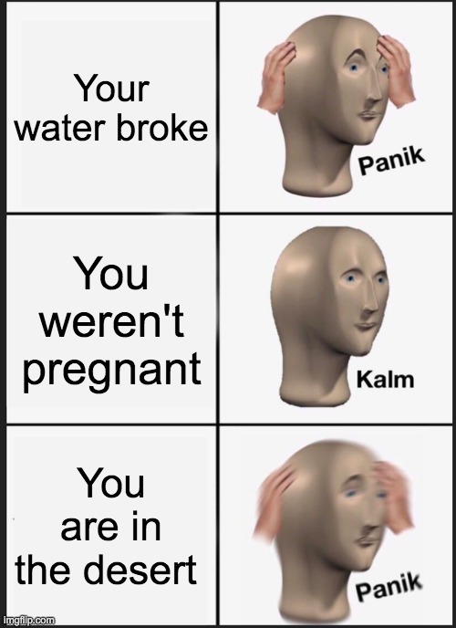 oh no.. | Your water broke; You weren't pregnant; You are in the desert | image tagged in memes,panik kalm panik,pregnant,funny,ironic,popular | made w/ Imgflip meme maker