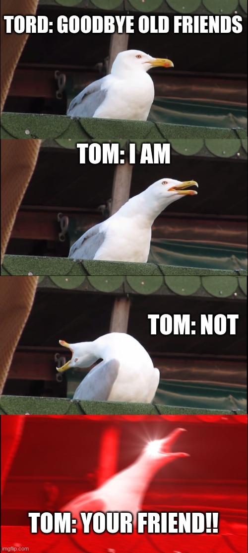 Tom is seagull | TORD: GOODBYE OLD FRIENDS; TOM: I AM; TOM: NOT; TOM: YOUR FRIEND!! | image tagged in memes,inhaling seagull,eddsworld | made w/ Imgflip meme maker