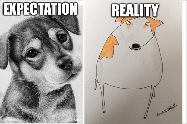wait... nooooo why me? | EXPECTATION; REALITY | image tagged in expectation vs reality,memes | made w/ Imgflip meme maker