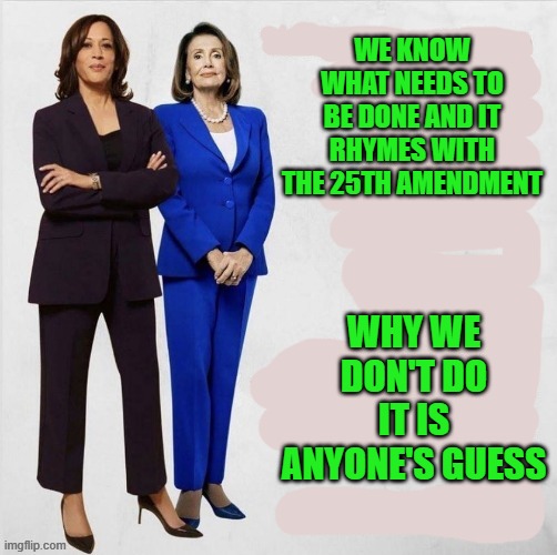 Kamala Harris Nancy Pelosi Women for the win | WE KNOW WHAT NEEDS TO BE DONE AND IT RHYMES WITH THE 25TH AMENDMENT WHY WE DON'T DO IT IS ANYONE'S GUESS | image tagged in kamala harris nancy pelosi women for the win | made w/ Imgflip meme maker