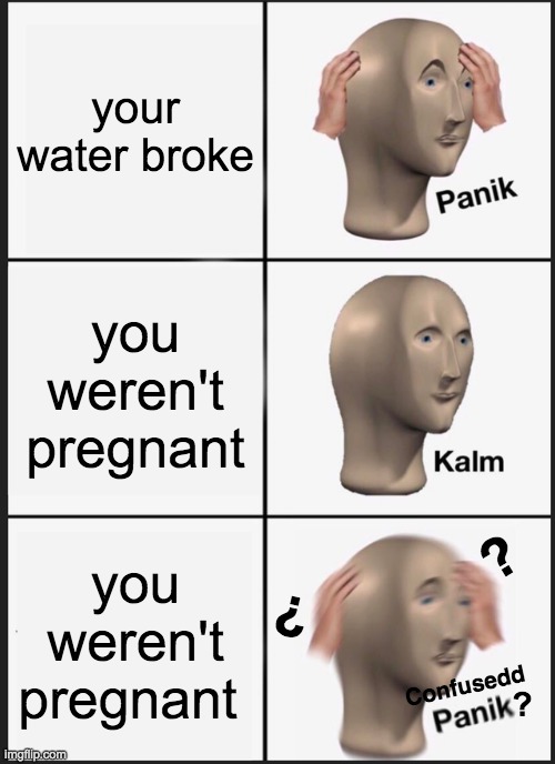 wAt | your water broke; you weren't pregnant; ? ? you weren't pregnant; ? Confusedd | image tagged in memes,panik kalm panik,pregnant,confused,confused screaming,funny | made w/ Imgflip meme maker