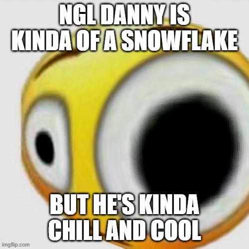 Big eye flushed | NGL DANNY IS KINDA OF A SNOWFLAKE; BUT HE'S KINDA CHILL AND COOL | image tagged in big eye flushed | made w/ Imgflip meme maker