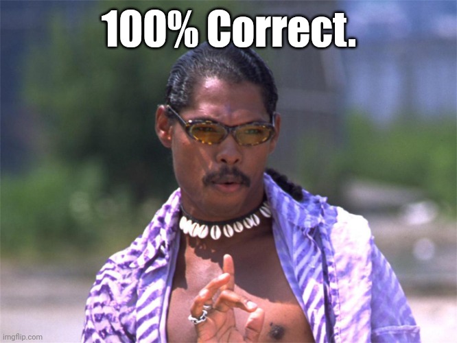 Pootie Tang say: | 100% Correct. | image tagged in pootie tang say | made w/ Imgflip meme maker